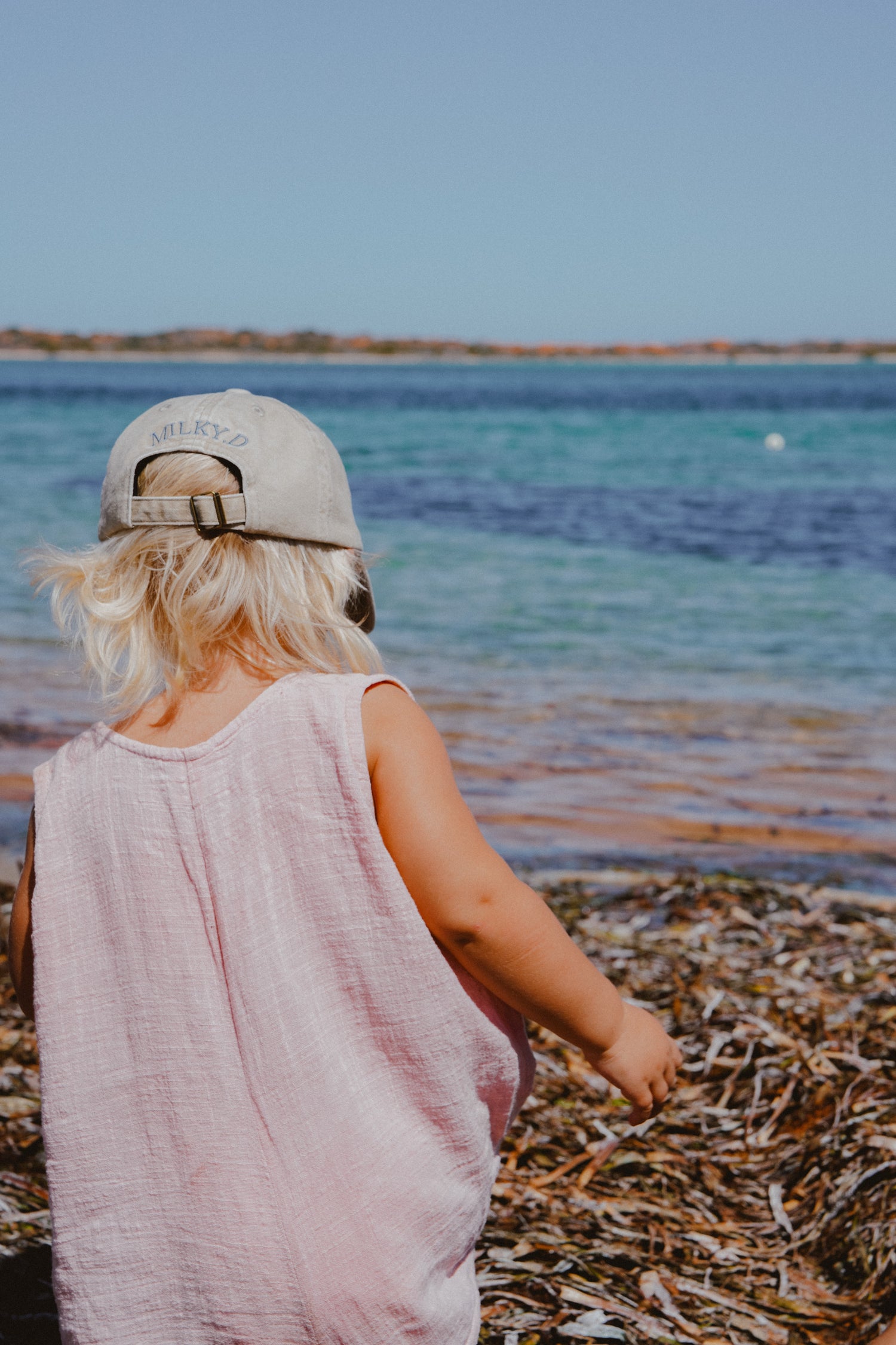 Starfish | Cap